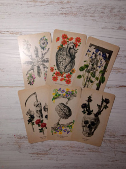 Клэр Гудчайлд: Antique Anatomy Tarot. Таро античной анатомии