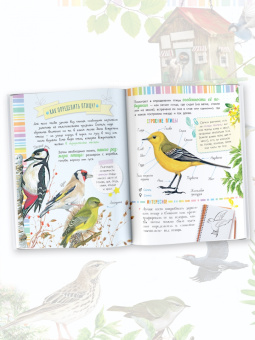 Мария Рахчеева: Птицы