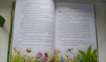 Юлия Симбирская: Фея Фиалка, колдунья Календула и охапка медведей