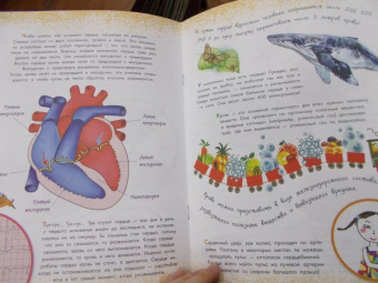 Вера Иванова: Как устроен человек?