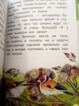 Наталия Немцова: Лучшие сказки для почемучки