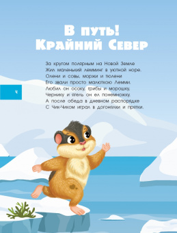 Евгения Ершова: Большая книга квестов и лабиринтов для почемучки
