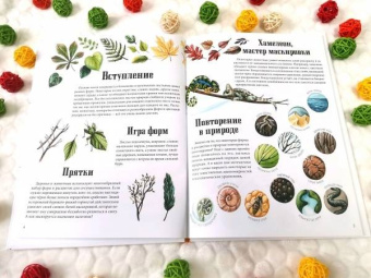 Седлачкова, Секанинова: Формы и узоры природы
