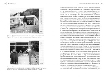 Мирэ Коикари: Гендер, культура и фукусимская катастрофа