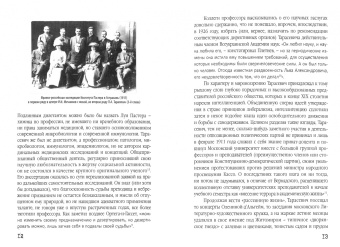 Виктор Тополянский: Личность в безвременье