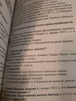 Роман Евдокимов: Казаки на "захолустном фронте". Казачьи войска России в условиях Закавказского театра Первой мировой