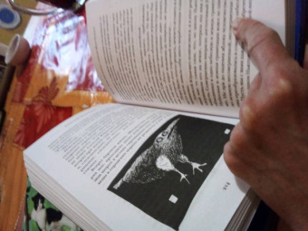 Александра Николаенко: Жили люди как всегда. Записки Феди Булкина