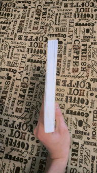 Такфилд Брэдфорд: Алгоритмы неформально. Инструкция для начинающих питонистов