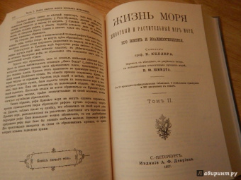 К. Келлер: Жизнь моря