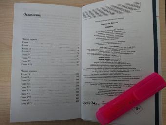 Бовуар де: Гостья