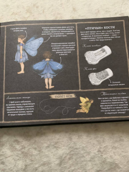 Секретная жизнь фей