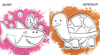 Ух-плюх! Дельфин