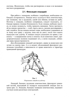 Анникова, Козлов: Клиническое исследование животных. Учебное пособие для СПО