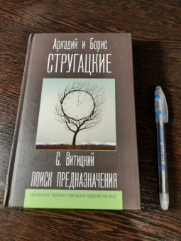 Сергей Витицкий: Поиск предназначения