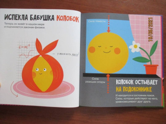 Алиса Ткачева: Ньютоновская физика