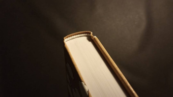 Томас Эриксон: Кругом одни идиоты. Если вам так кажется, возможно, вам не кажется