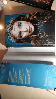 Дженнифер Бенкау: Одна истинная королева. Книга 1