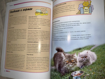 Доминик Кизельбах: Персидская кошка. Содержание и уход