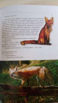 Гин, Андржеевская: Стратегия выживания