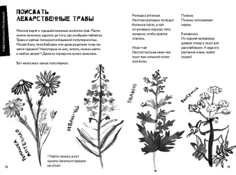 Лео Хек: 50 познавательных игр на природе