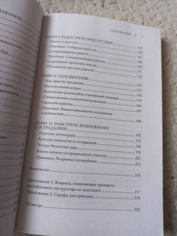 Тенпа Лобсанг: Радикальное спокойствие. Созерцательные практики для глубинного благополучия