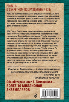 Александр Тамоников: Закат команданте