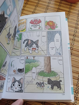 Конами Каната: Милый дом Чи. Книга  11