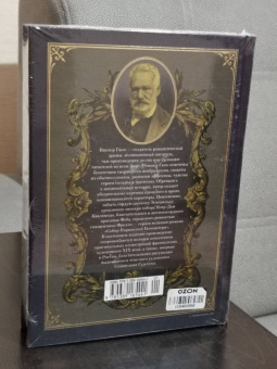 Виктор Гюго: Собор Парижской Богоматери