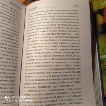 Герман Гессе: Демиан. Гертруда