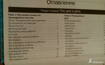 Шейла Эллисон: 365 лучших игр для развития вашего маленького гения