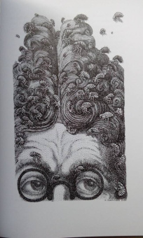 Гофман Эрнст Теодор Амадей: Повелитель блох