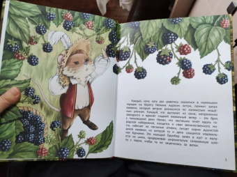 Ирина Данилова: Честный Брумбер