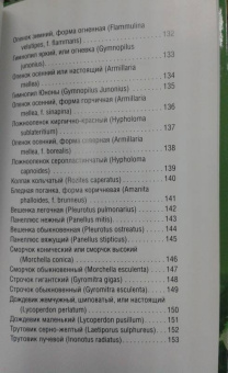 Матанцева, Матанцев: Грибы. Карманный справочник-определитель. Самые распространенные грибы и их двойники