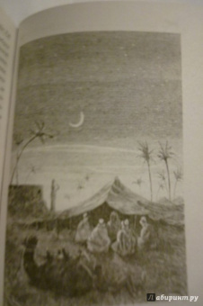 Рид Майн: Пиратский остров. Молодые невольники