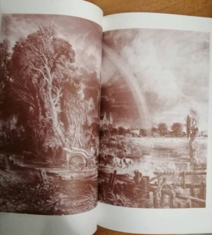 Мур, Шелли, Лонгфелло: Леда и лебедь. Английские, американские и ирландские поэты в переводах Романа Дубровкина