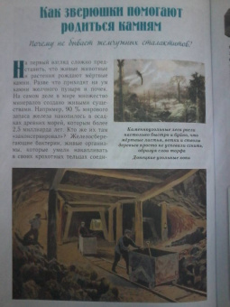 Светлана Лаврова: Каменное царство земли. Занимательная минералогия