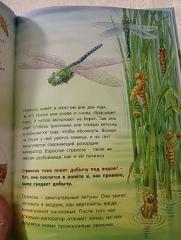 Фридерун Райхенштеттер: Лягушонок и его соседи. Познавательные истории