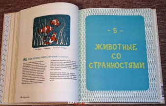 Матильда Мастерс: Может ли лошадь решать уравнения? И ещё 320 вопросов о животных