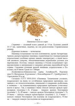 Позняковский, Рязанова, Николаева: Атлас аннотированный. Продукты растительного происхождения. Учебное пособие