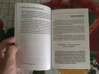 Мусаси Миямото: Книга Пяти Колец. Стратегия - это ремесло воина