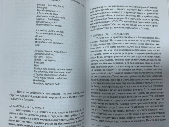 Рения Шпигель: В тени Холокоста. Дневник Рении
