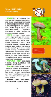 Матанцев, Матанцева: Самые распространенные грибы и их двойники съедобные, несъедобные, ядовитые