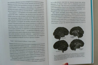 Антонио Дамасио: Я. Мозг и возникновение сознания