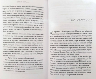 Джули Кагава: Железный рыцарь