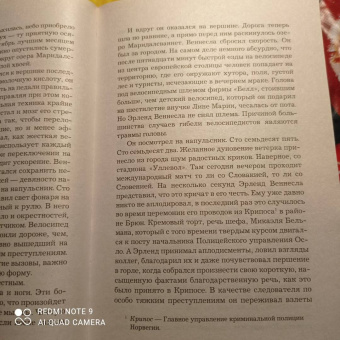 Ю Несбё: Полиция