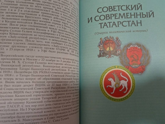 Фахрутдинов, Фахрутдинов: История татарского народа. Монография