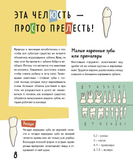 Скрипник, Сафонова: Тело, в котором ты живешь. Комплект из 2-х книг