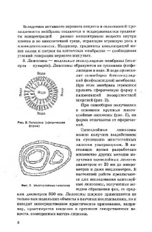Антонов, Черныш, Пасечник: Практикум по биофизике. Учебное пособие для студентов