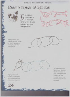 Марк Берджин: Школа рисования. Кошки