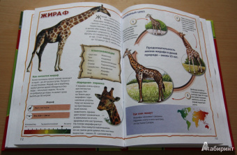 Моя первая книга о животных